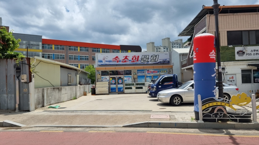 속초회물회 사진 1