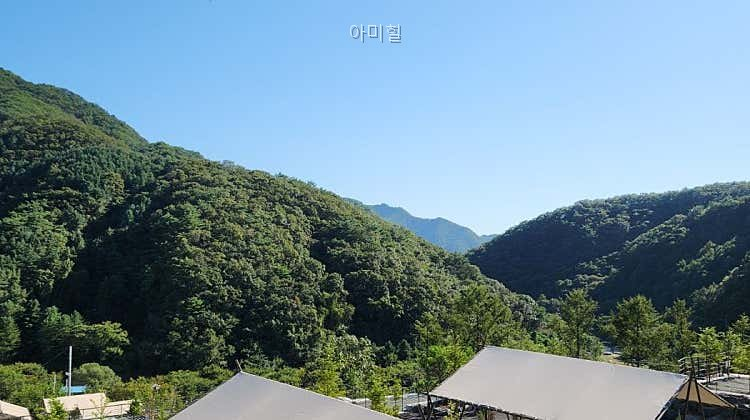 아미힐