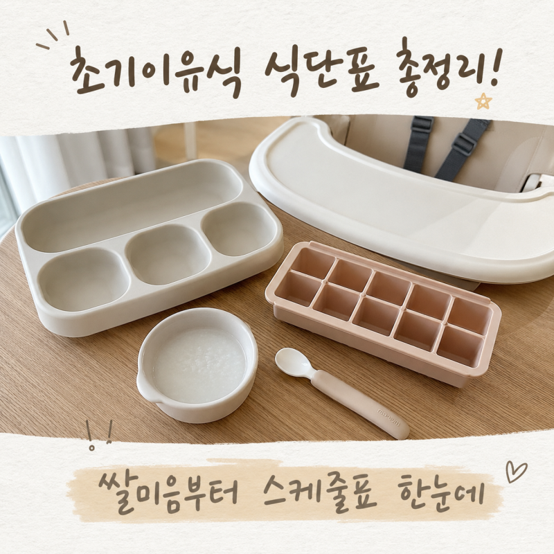 초기이유식 식단표 총정리! 쌀미음부터 스케줄표 한눈에!
