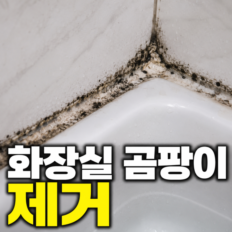 화장실 곰팡이 제거 방법, 락스로도 안 없어질 때 이렇게 해보세요