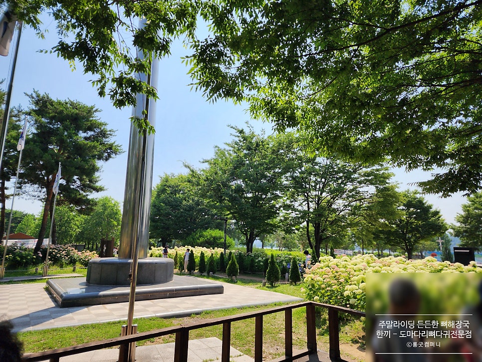 도마다리뼈다귀전문점 사진 6