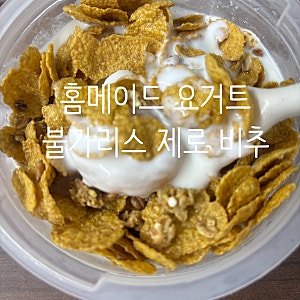 불가리스 무가당 플레인으로 수제 요거트 만들기 실패 후기  전자레인지 비율 시간 팁 (비추....