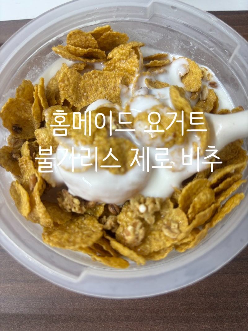 불가리스 무가당 플레인으로 수제 요거트 만들기 실패 후기 전자레인지 비율 시간 팁 (비추....