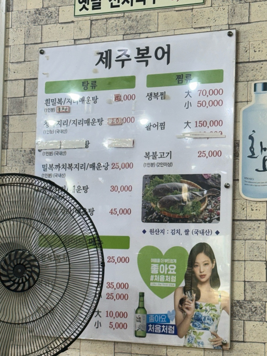 제주복어 사진 1