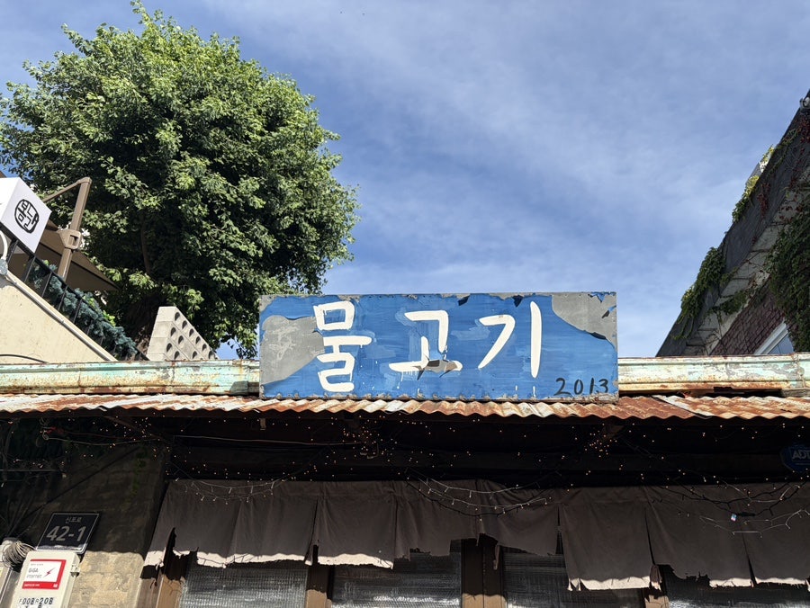 물고기 사진 1