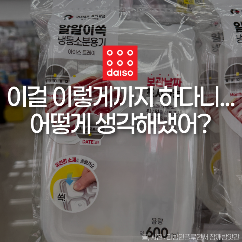 '이걸' 이렇게까지 만든다고? 다이소 진짜 생각 많이 한듯.. 종류만 6가지인 냉동소분용기