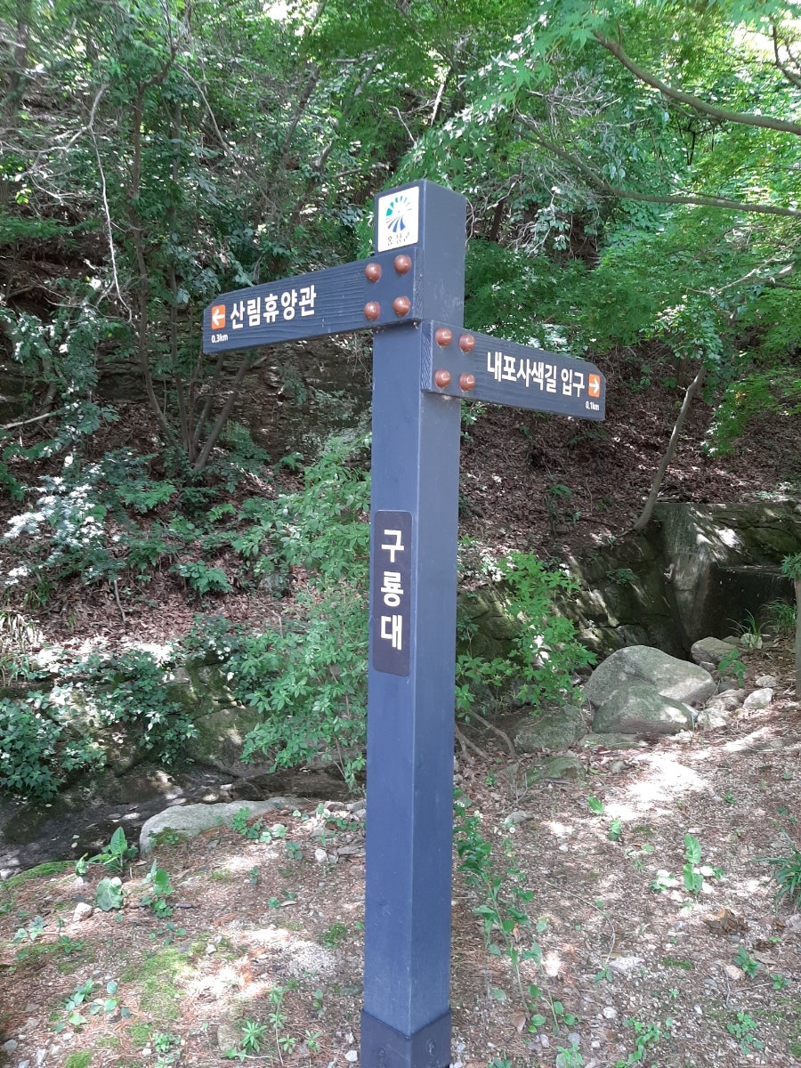 용봉산자연휴양림 사진 6