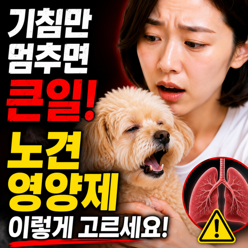 강아지 기관지협착증 기관지염 보다 중요한 노견영양제 선택법