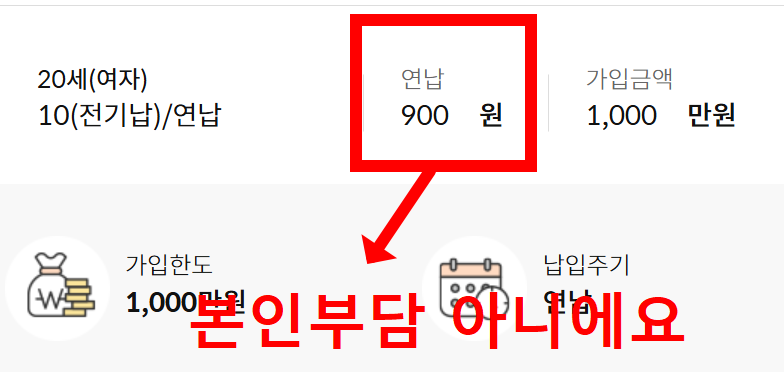 '보험료 0원' 임산부를 위한 우체국 엄마보험 가입 방법