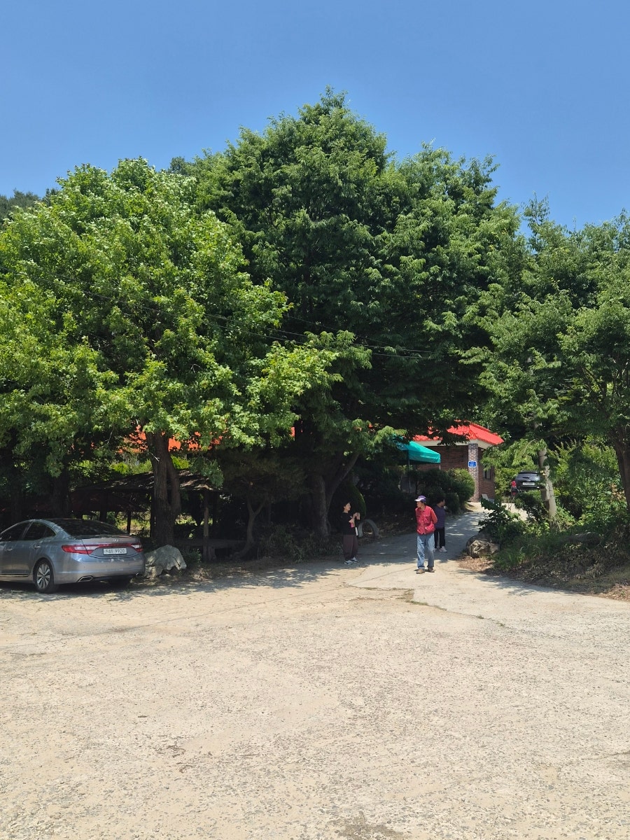 물레방아 사진 3
