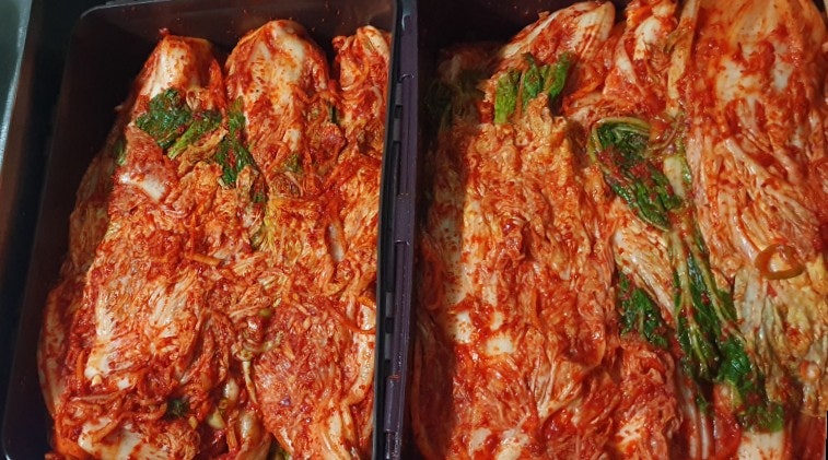 여름 배추김치 담그는 법 간단한 양념 레시피