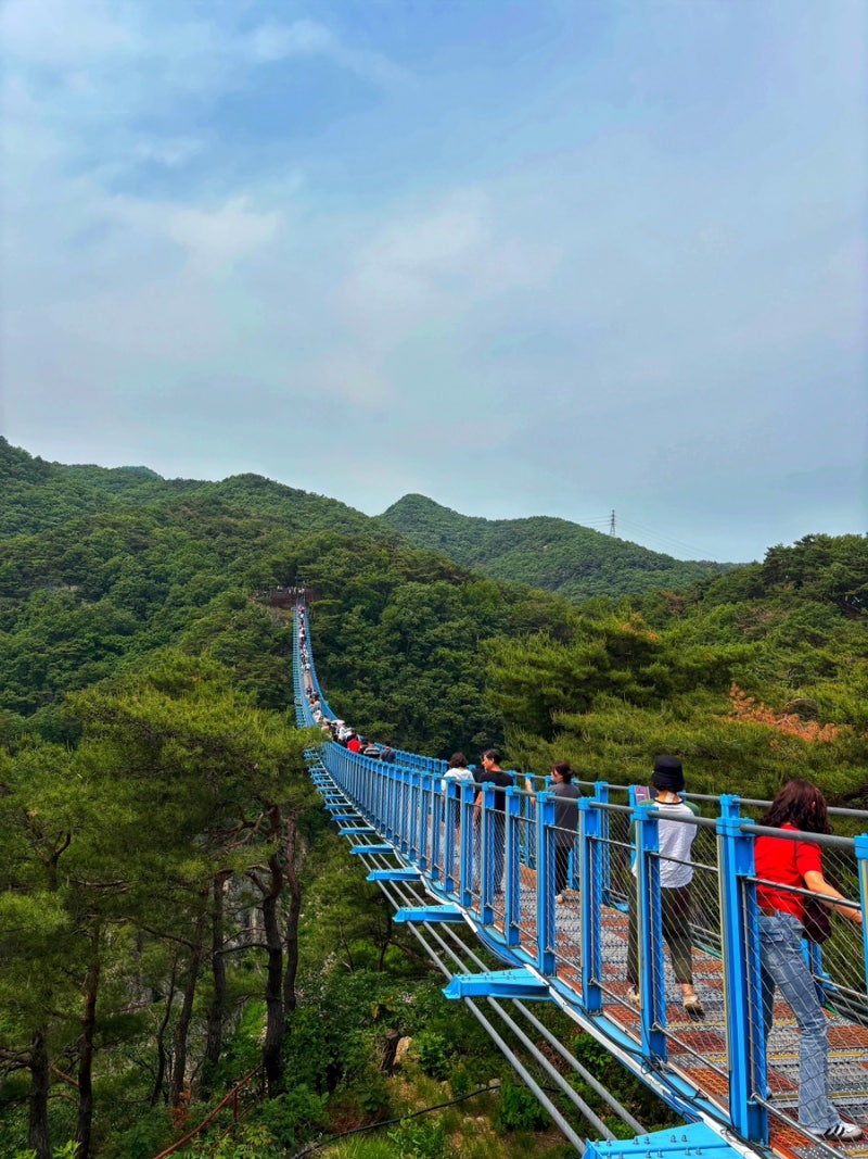 강원도 원주&평창 가볼만한 곳| 국내 1박 2일 여행 코스 공유