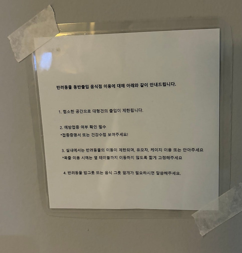 오프닛 사진 6