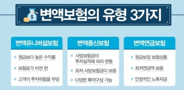변액보험 개념 종류 장단점