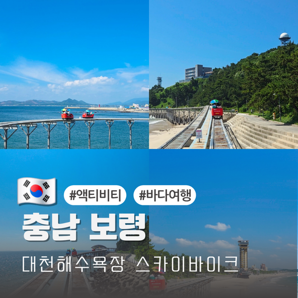 충남 대천해수욕장 스카이바이크 국내 여름 바다여행지 추천