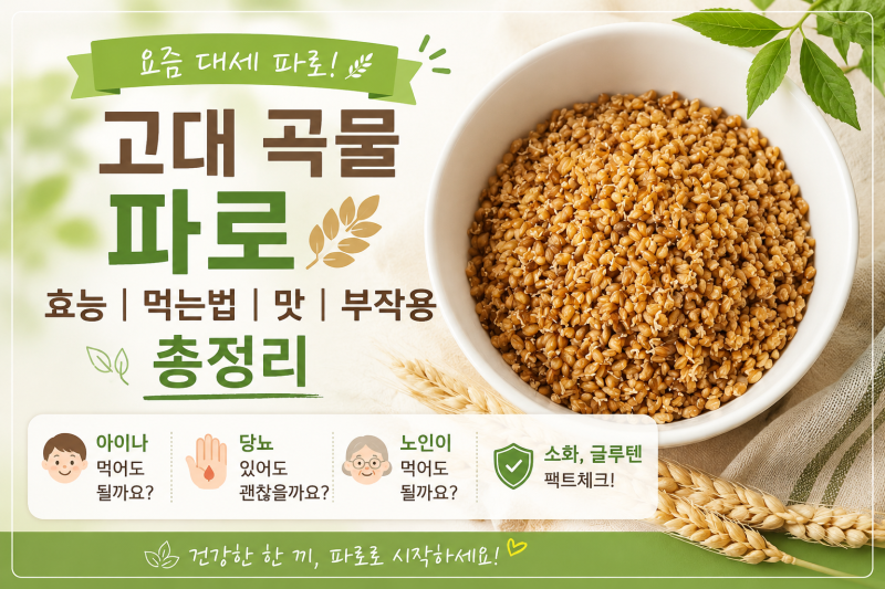 [요즘 대세 파로] 고대 곡물 파로 효능 먹는법 맛 부작용 총정리 아이나 당뇨 노인이 먹어도 ....