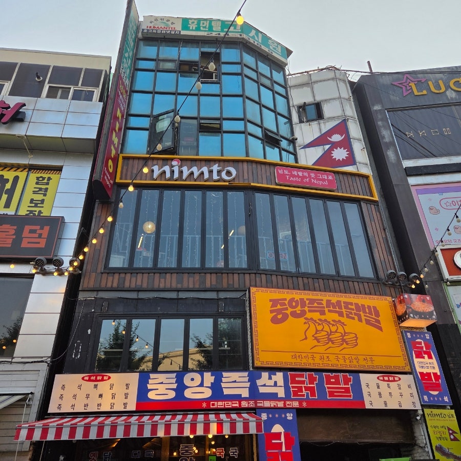 님토 사진 1