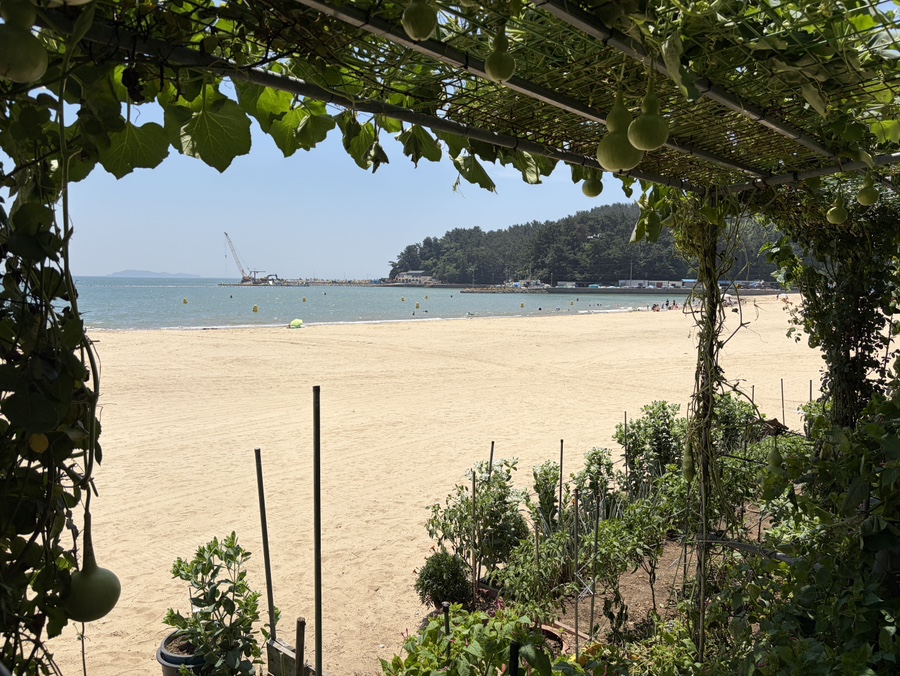 Haebyeonsikdang photo 6