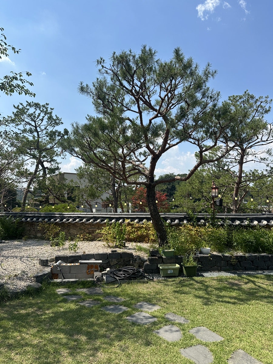그리네사바나 사진 4