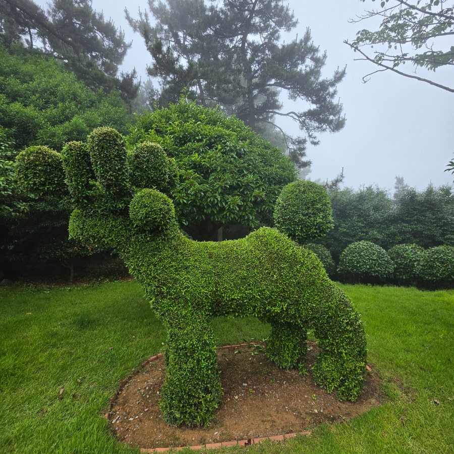 꾸석지돌판한우 완도점 사진 2