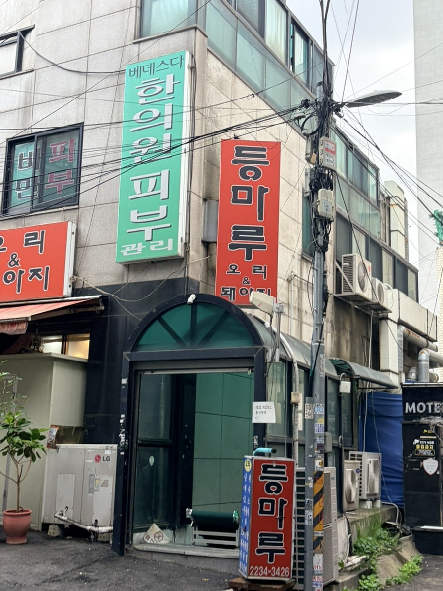 등마루 사진 5
