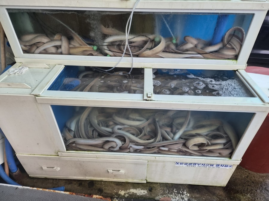 토담집 사진 2