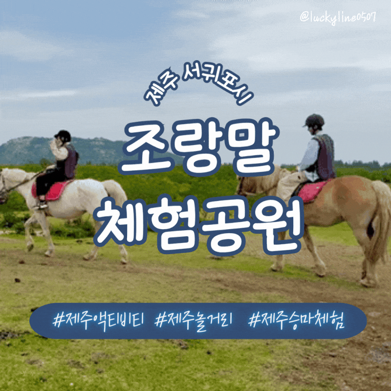 [제주 서귀포시] 제주 놀거리 / 제주 액티비티 / 제주 승마장 추천 가시리 조랑말체험공원