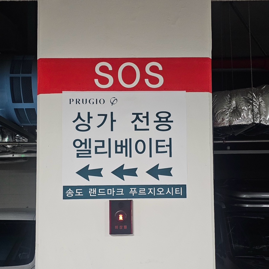 더노벰버스테이 사진 6