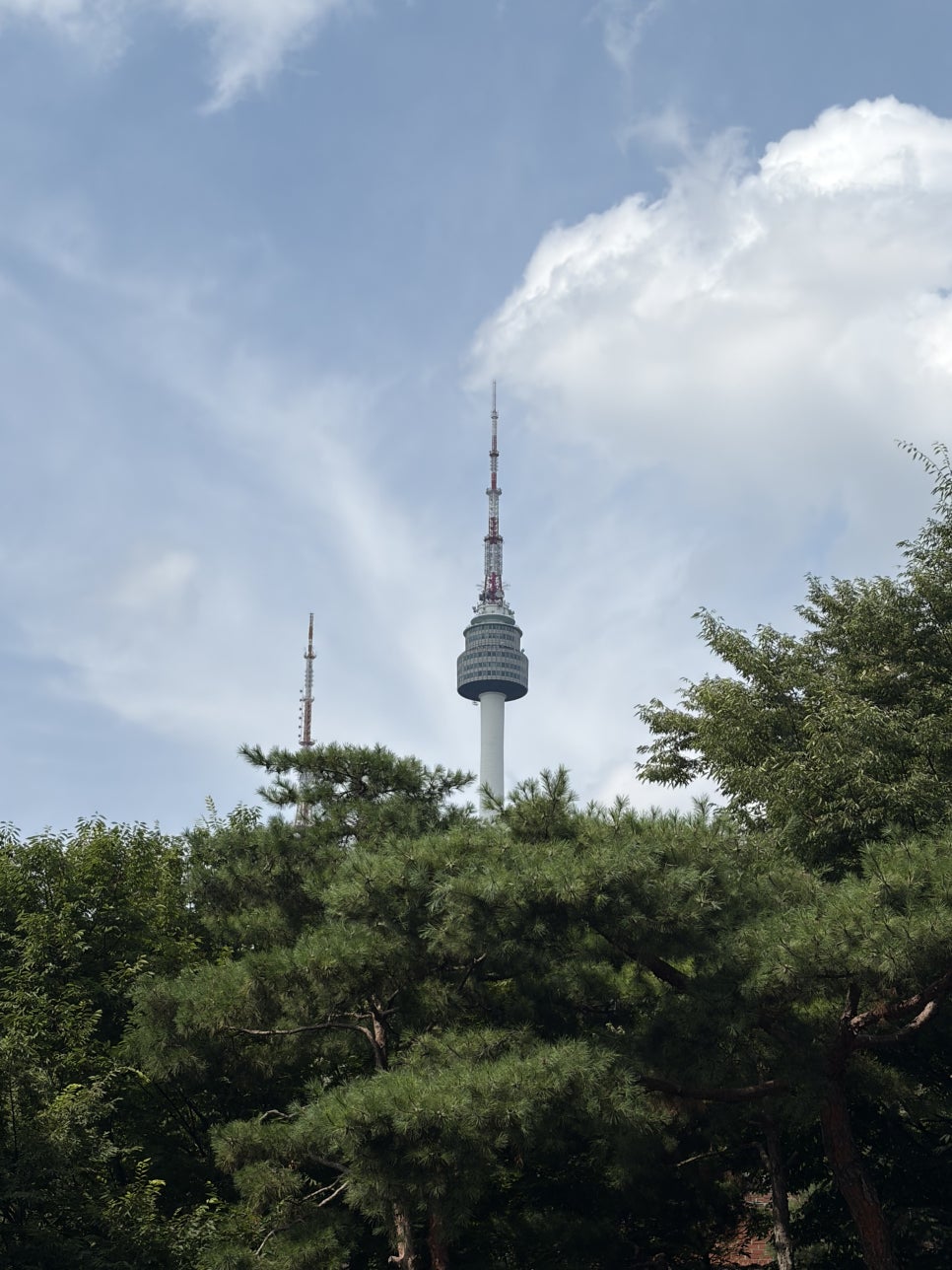 애프터테이스트 사진 2