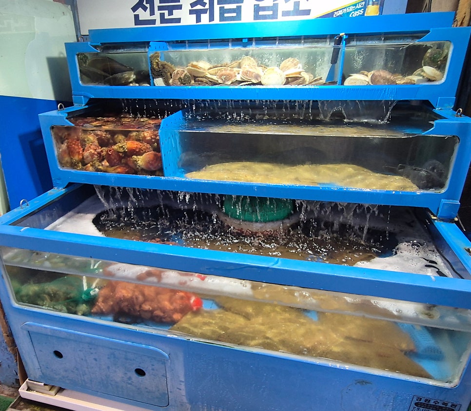 오징어세상 삼성점 사진 5