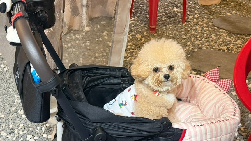 덕구뒷고기 사진 3