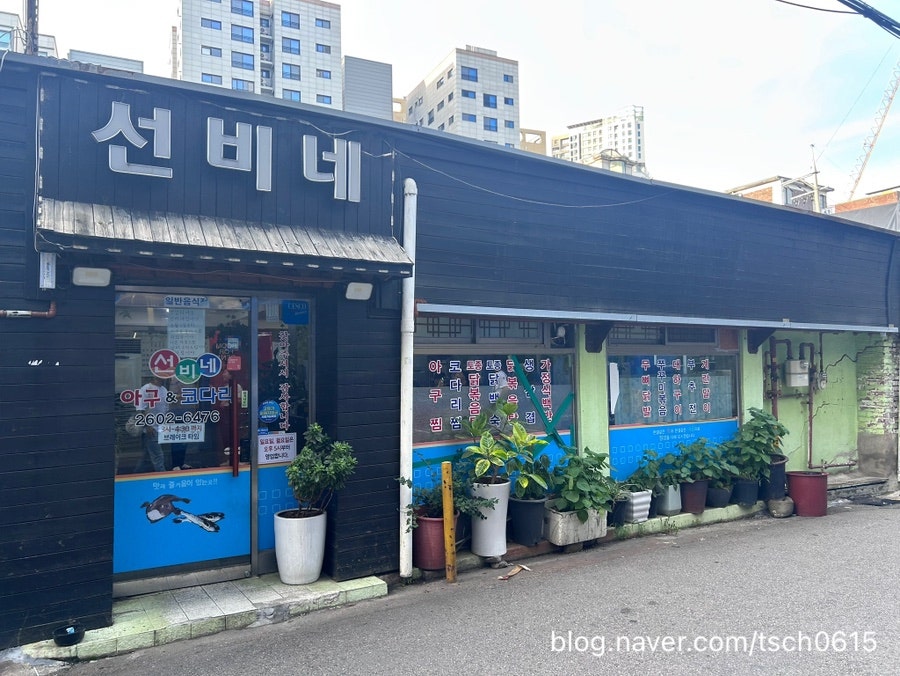 선비네 사진 1