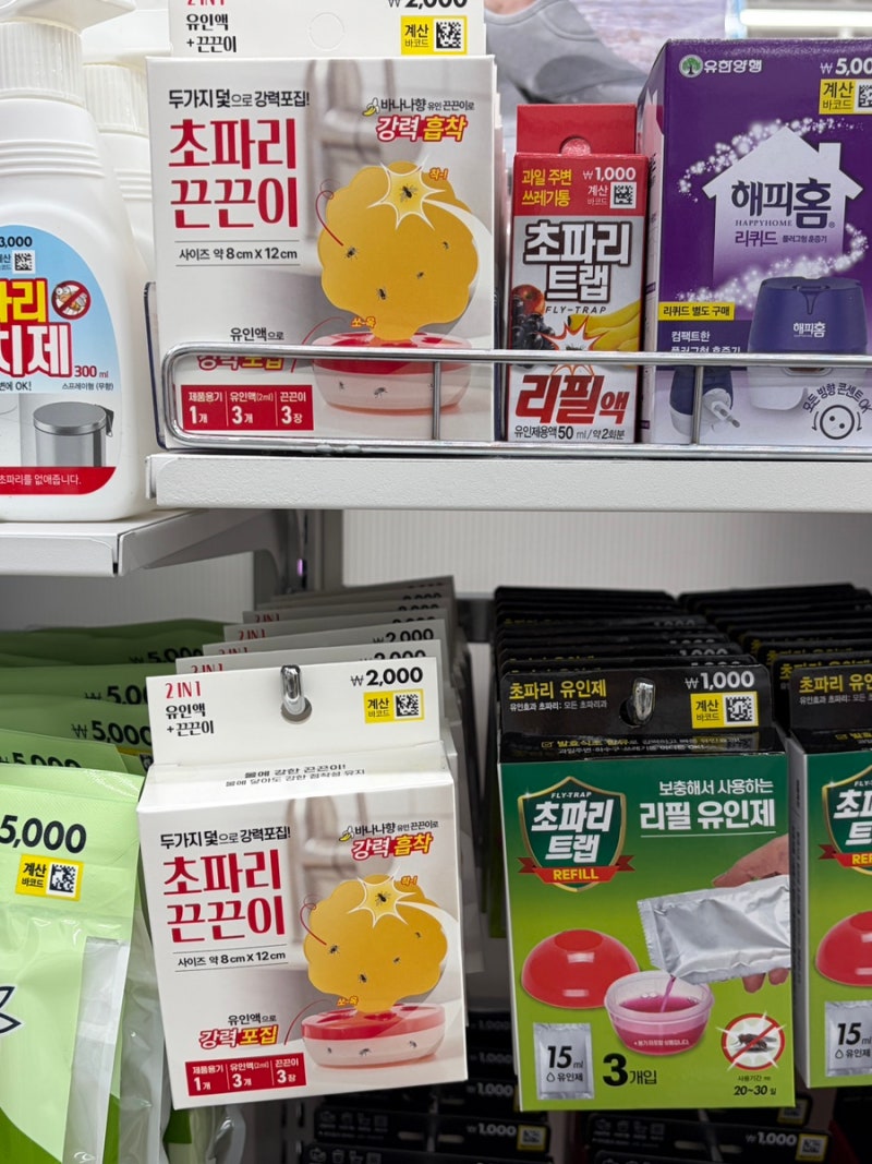 다이소 추천템 초파리 트랩 벌레 퇴치제 종류 | 내돈내산 솔직후기