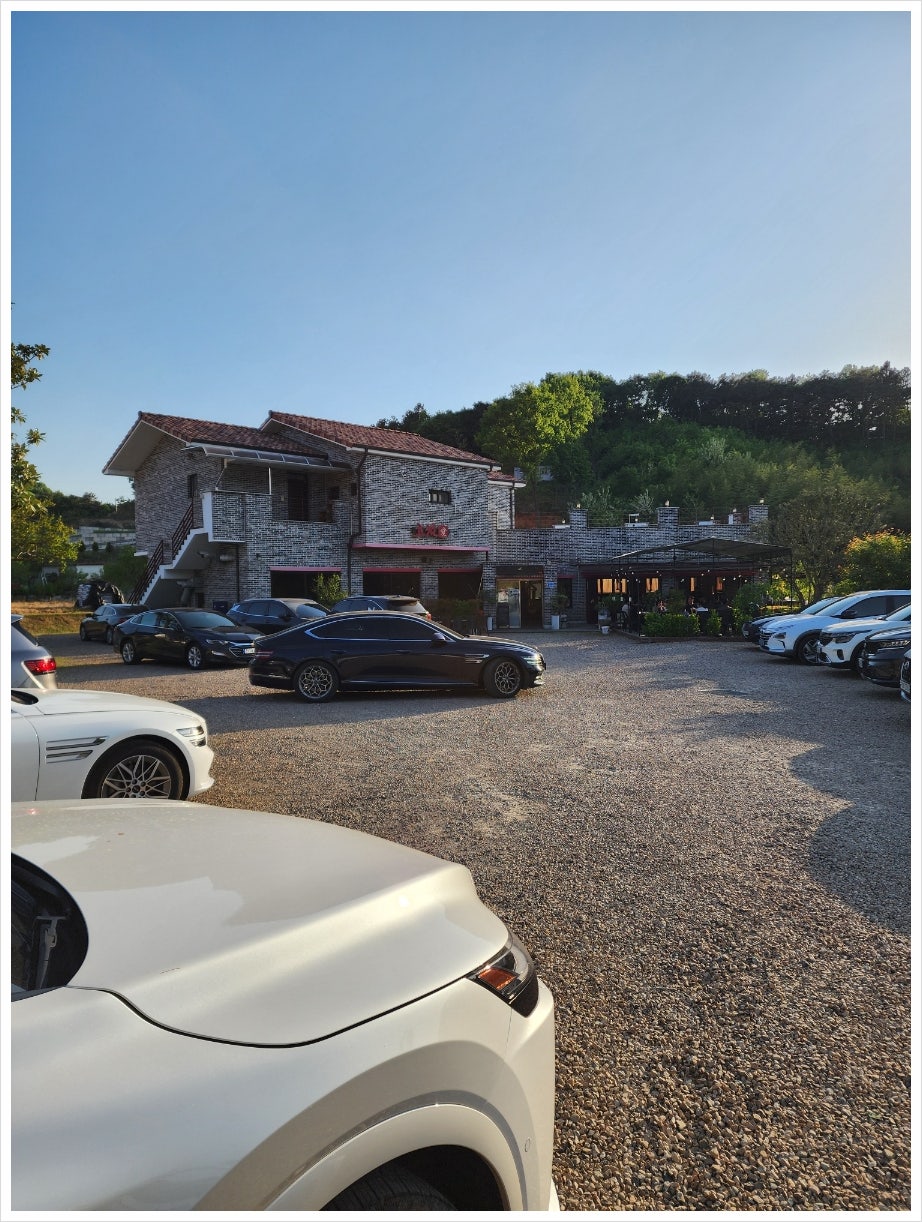 꼬리치는 장어 사진 2