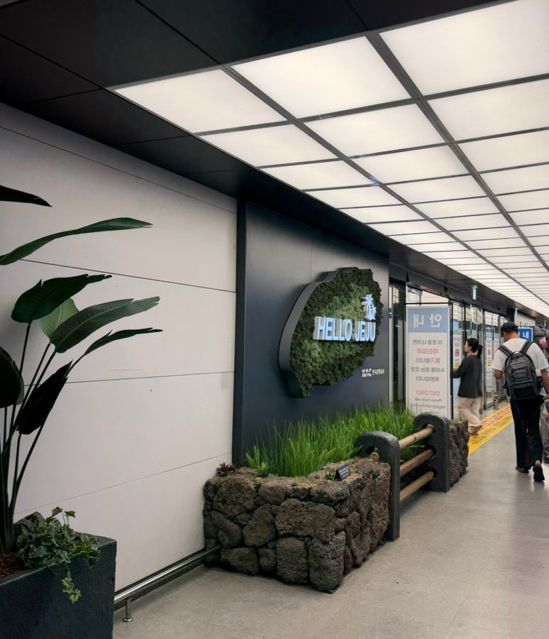 [내 돈 내산] 제주 보고타 렌터카에서 '더 뉴 레이' 무인 배차로 스마트하게 인수하기! ️