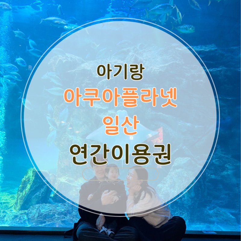 돈이 아깝지 않은 선택, 13개월 아기와 일산 아쿠아플라넷 연간권 7개월 총정리