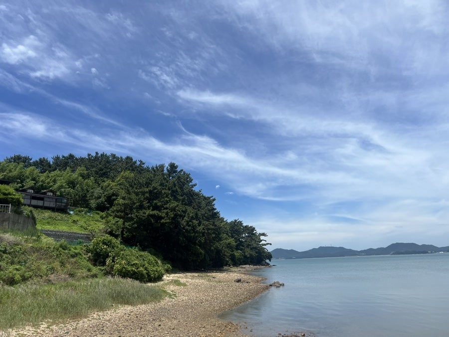 정산포바닷가 사진 3