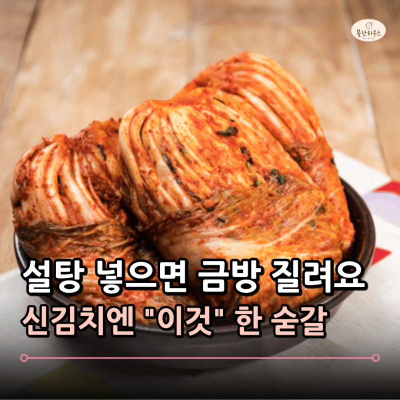 신김치에 설탕 넣지 마세요.. "이것" 한 숟갈이면 신맛은 줄고 감칠맛은 살아납니다