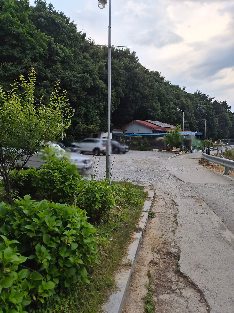 퍼핀 사진 5