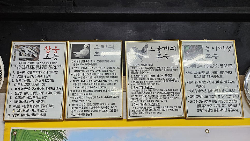 명품파주 사진 4