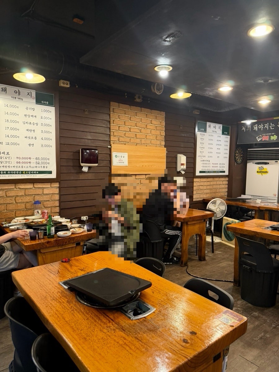 돼야지 사진 4