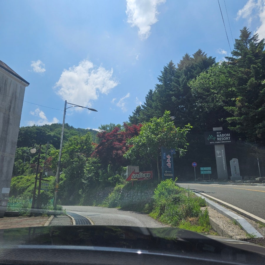 꿈꾸는나무별 사진 1