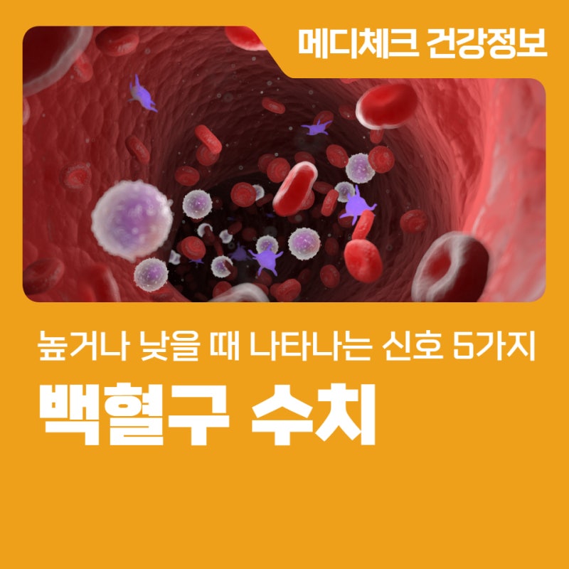 백혈구 수치 높거나 낮을 때 나타나는 신호 5가지