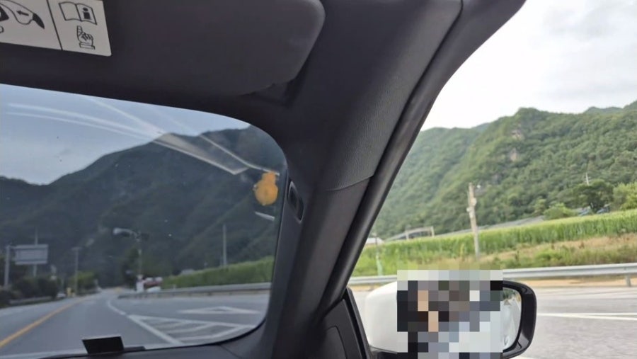 옥동양어장횟집 사진 2