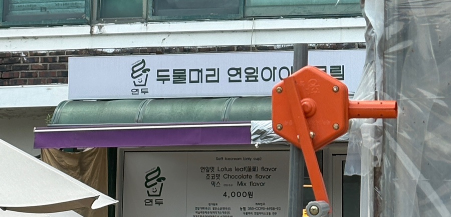 연두 두물머리연잎아이스크림 사진 4