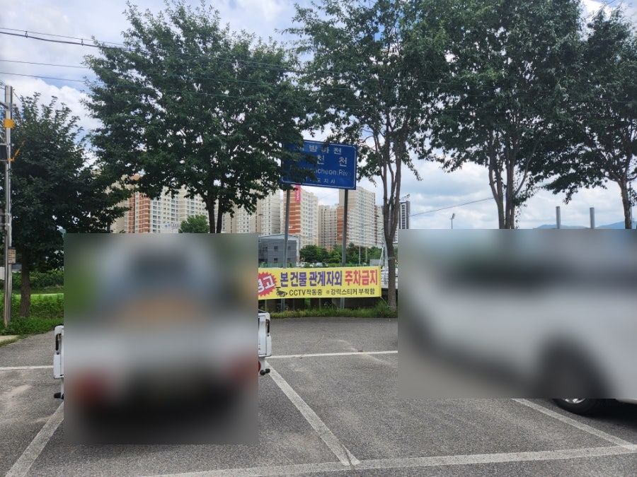 참나무장작 사진 2