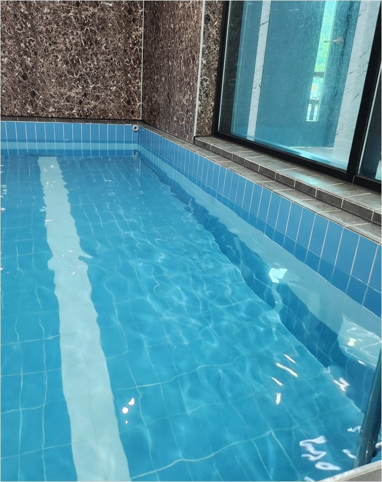 춘천남이섬애견가족전원마을펜션 사진 3