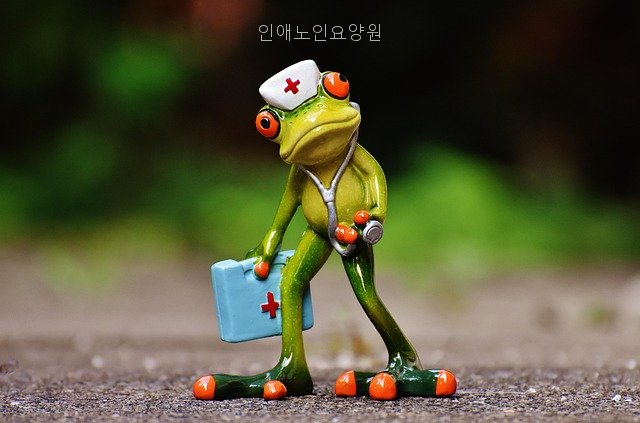 인애노인요양원 사진 3