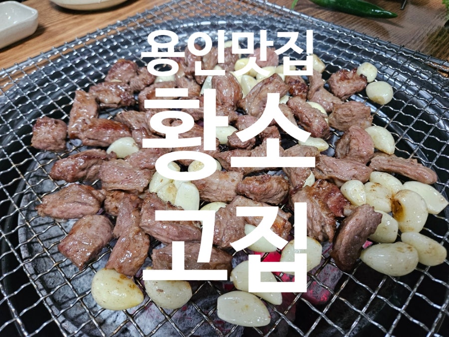 고집 사진 1