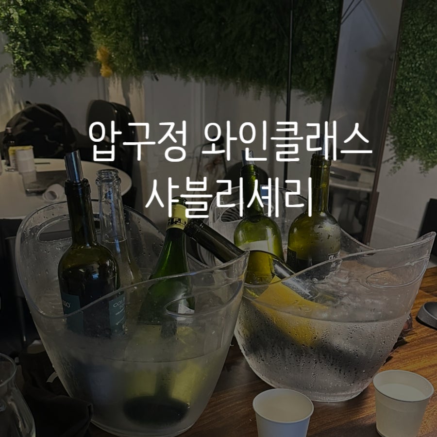 샤블리 사진 2